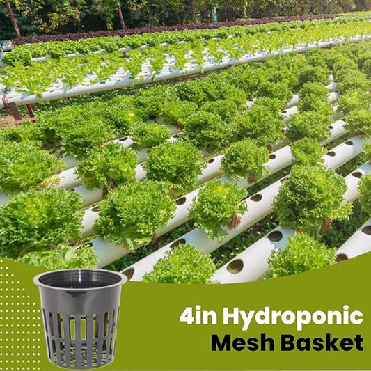 30 Pack 4 Inch Net Pots, Lightweight Slotted Mesh Net Cups for Hydroponics, Economy Hydroponic Pots for Indoor Outdoor Growing, Includes 30 Plant Labels
