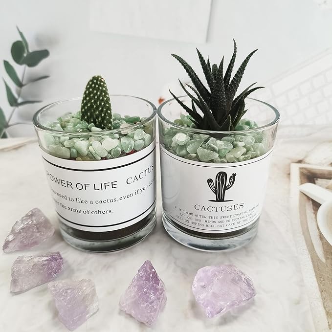ZHIYUXI Green Aventurine Crystal Chips Fish Tank Gravel Vase Filler Stones Crushed Crystals Gemstone Polished Healing Crystals Natural Quartz Stone 0.44lbs