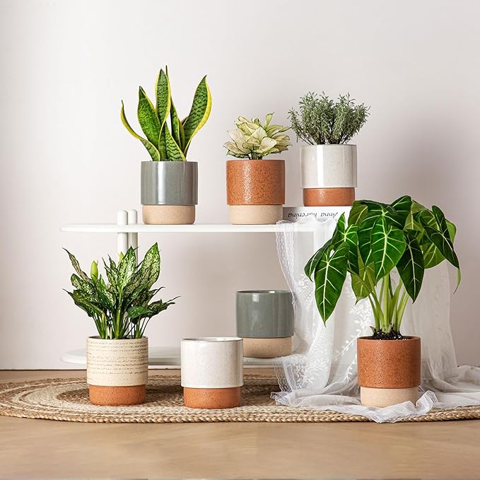 Self Watering Plant Pot: 6 Inch Ceramic Planter with Drainage Hole & Water Storage Plus - Flower Pot for Indoor & Outdoor Plants (Brush, Small)