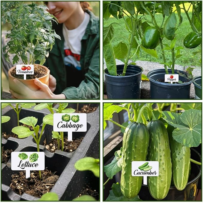 arricraft 15 Pcs Acrylic Vegetables Plant Labels, Onion Eggplant Cabbage Plant Markers with Handwriting Name Clear Garden Tags Sign for Seed Potted Farm Supplies Garden Gift 4x2.67inch(10.2x6.8cm)