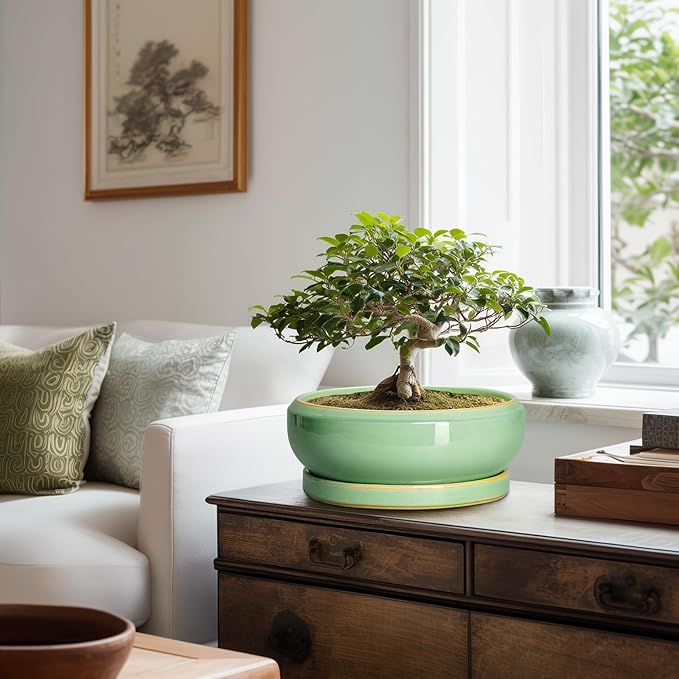 10 Inch Bonsai Tree Pots - Ceramic Succulent Pots with Drainage Hole and Tray, Shallow Planter for Indoor Outdoor Plants, Round Planters, House Decor, Gifts for Plant Lovers, Light Green