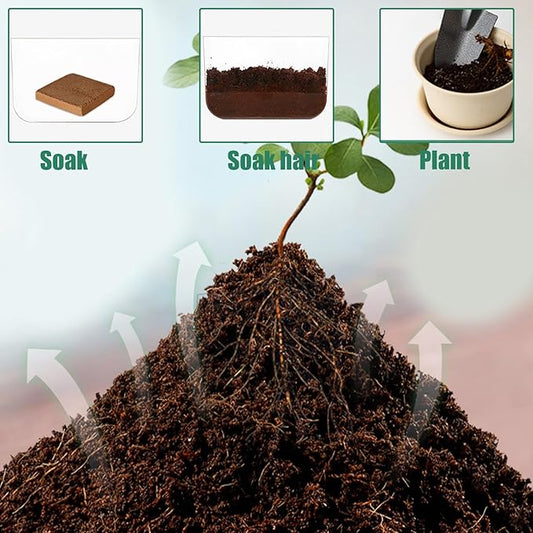 Coco Coir Brick, Coco Coir Brick 5Pcs Compressed Coconut High Expansion Coconut Soil 100g Organic Plant Soil for Planting, Gardening, Potting Herbs, Flowers