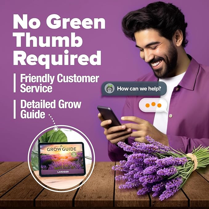 HOME GROWN Premium English Lavender Seeds -1,300 Herb Seeds,Wildflower Seed for Planting Indoor/Outdoor, High Germination,Plant Flower Seeds(Lavandula antustifolia)