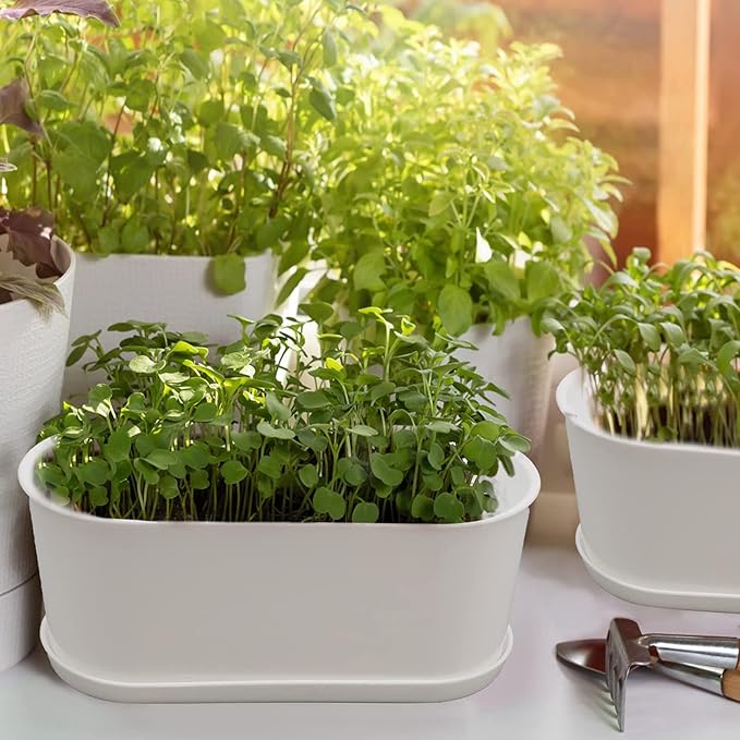 5-Pack White Herb Planter Box with Drip Trays, 8.5 Inch Small Oval Window Planters for Kitchen Sill, Indoor Outdoor, Perfect for Basil, Mint, Succulents, Flowers