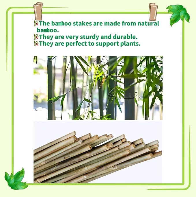 50Pack Bamboo Stakes for Plants, Bamboo Poles Eco-Friendly, Plant Stakes for Tomato, Bean, Flowers,Trees Potted and Climbing Plant,Natural Garden Stakes 4.8FT Height