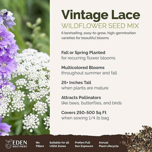 Eden Brothers Vintage Lace Flower Mixed Seeds for Planting, 1/4 lb, 120,000+ Seeds with Cosmos Gloria, Bishop's Flower, Snapdragon, Attracts Pollinators, Plant in Spring, Zones 3, 4, 5, 6, 7, 8, 9, 10
