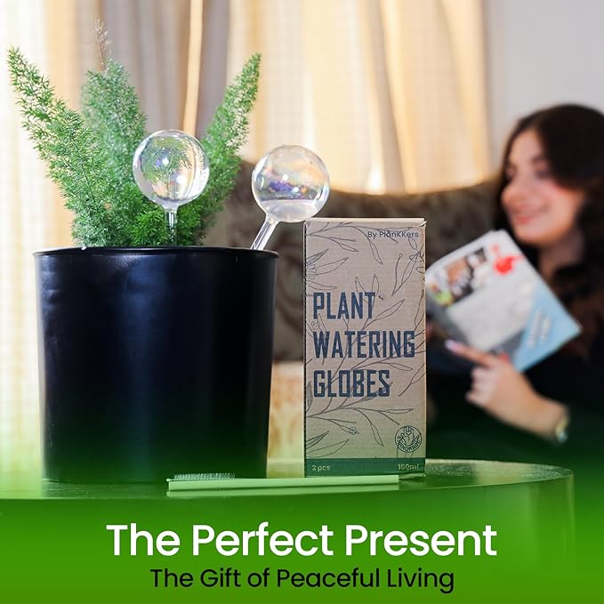 Iridescent Self Watering Globes, Glass Rainbow Plant Watering Globes, Self Watering Planter Insert, Automatic Plant Waterer Indoor (Large-6 Pcs Iridescent, Large)