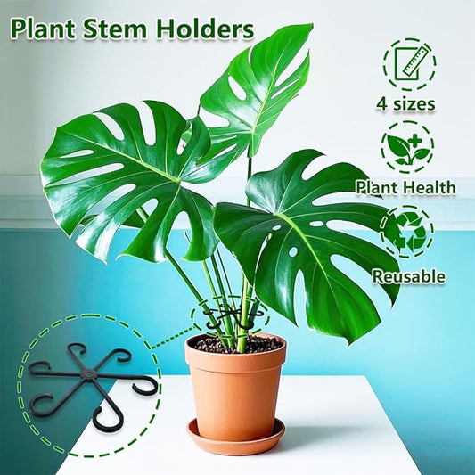 8PCS Climbing Plant Stem Supports 4 Sizes, Reusable Plastic Stakes Indoor/Outdoor Garden Flower Growth Accessories Stem Holder for Thriving Plant Growth (Black)