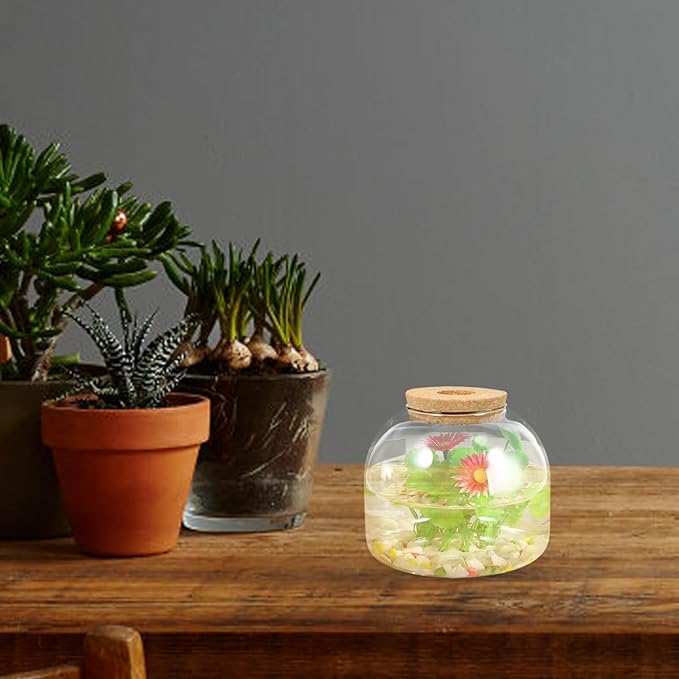 iplusmile Glass Terrarium Jar with Stopper 5.90X5.90X10.23 Inch Hydroponic Plant Container for Miniature Gardens Succulent Air Plant Display Vase for Home Office Decor