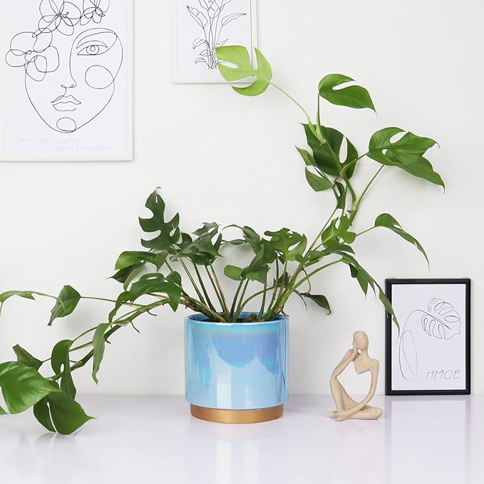 Ceramic Flower Plants Pots Planter with Drainage Hole, 6.0 inch+5.0 Inch. Indoor-Outdoor Large Round Succulent Orchid Pot Set (Blue)