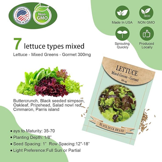 Salad Seed Pods, 12 Pods Grow Anything Kit for All Hydroponics Growing Systems with Nutrient & 300mg Seeds of Buttercrunch, Black Seeded Simpson, Oakleaf, Prizehead, Red Salad Bowl and so on