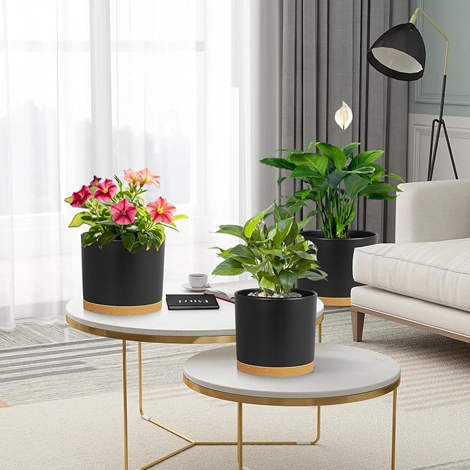 Large Plant Pots Set of 3 – 8", 9", 10" Indoor Flower Pots with Drainage Holes and Saucers, Big Planters for Monstera, Fiddle Leaf Fig, Snake Plant – 5 Colors