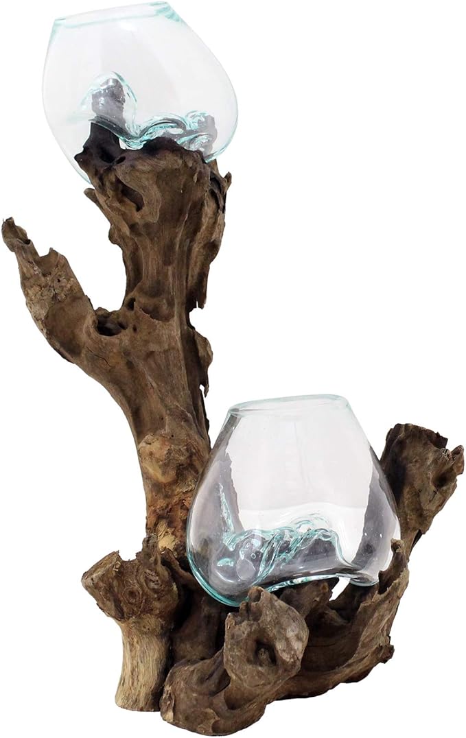 Cohasset Molten Glass Double Terrarium | 15" Tall Teak Wood with (2) 10cm Recycled Glass Vessel