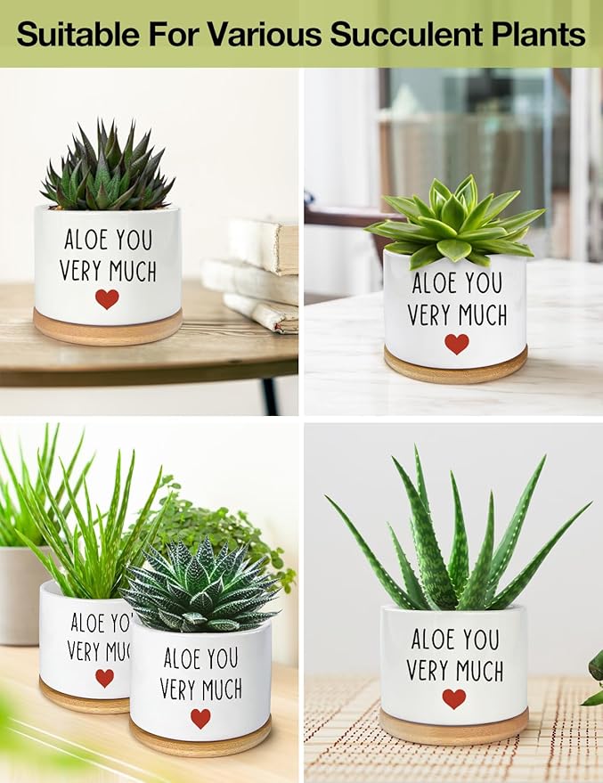 You Very Much- White Ceramic Engraved Mini Succulent Aloe Cactus Planter Pot, Funny Plant Pots Indoor Flower Plant Pots for Home Office Windowsill Levitating Plant Pot Gifts, 3.8 inch
