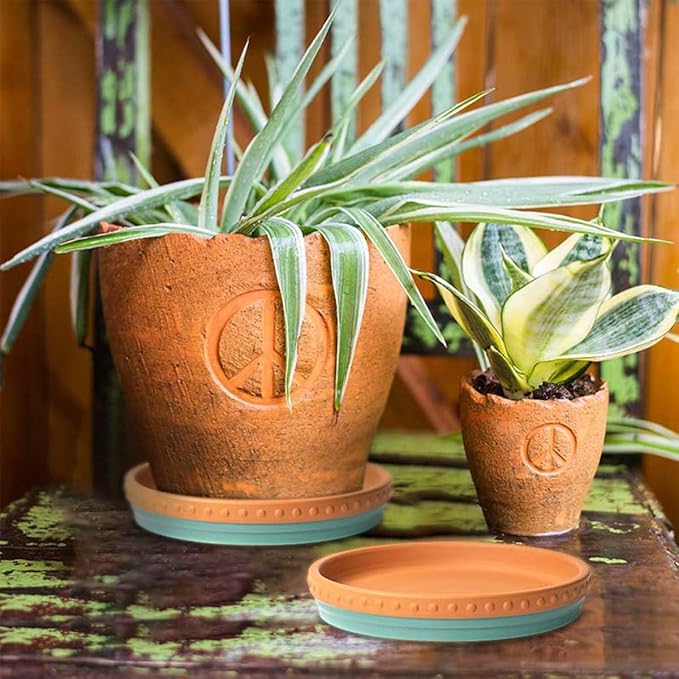 YBX 8-inch Plant Saucer Premium Terracotta Saucer Round Ceramic Plant Trays, Pack of 2 (Turquoise/Terracotta)