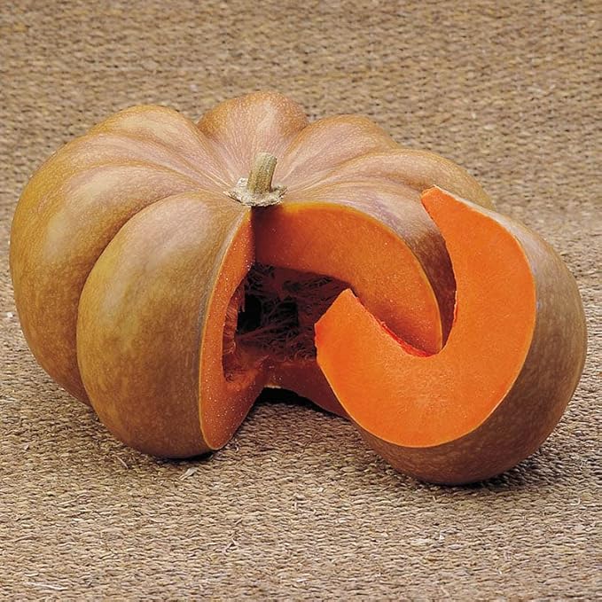 Eden Brothers Pumpkin Seeds - Musquee de Provence Non-GMO Seeds for Planting, Packet | High-Yielding, Fast Growing Vegetable Seeds, Plant During Warm Season, Zones 3, 4, 5, 6, 7, 8, 9, 10