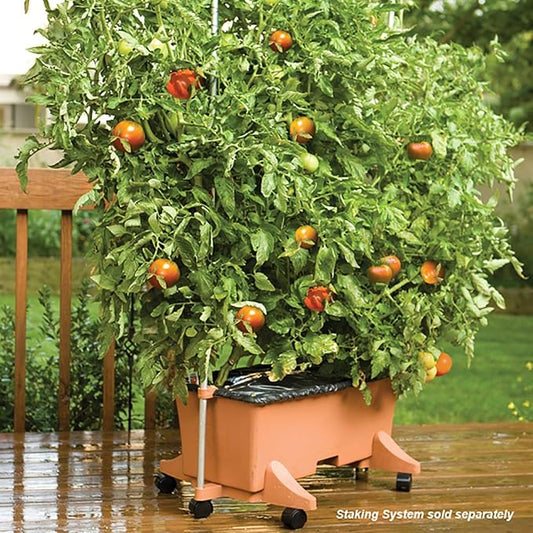 EarthBox 80155 Garden Kit, Organic, Terracotta