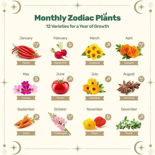 Lush&Dew Gardening Gifts for Women Men, Zodiac Garden Seed Bank, 12 Varieties Non-GMO Heirloom Vegetables Flower Seeds, Hand Craft Storage Box with Moon Calendar for Fire Signs, USDA Zone 3-11