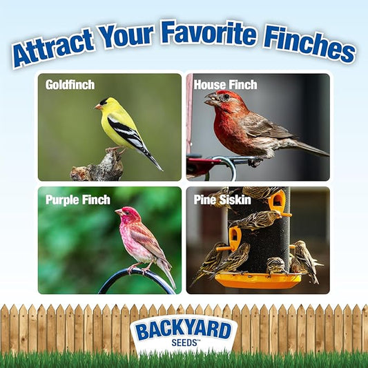 CountryMax Backyard Seeds Finch & Small Songbird Frenzy 5lbs - Premium Nyjer Thistle Seed Blend for Finch Feeders, Small Bag of Wild Bird Food