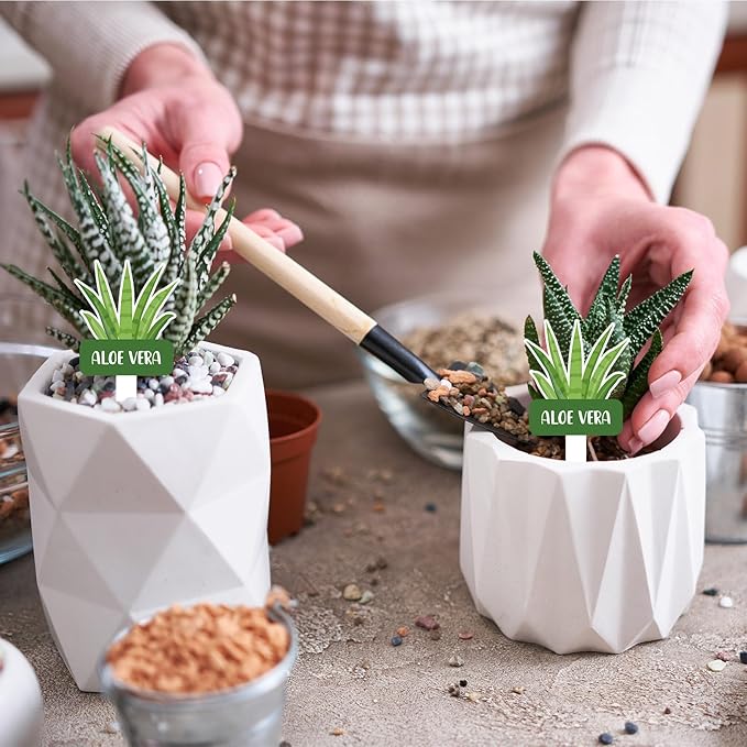 20 Pcs Acrylic Vegetables Plant Label Signs 20 Style Plant Stake Tags with Names Waterproof Herb Garden Markers Reusable Labels Markers for Seedlings Nursery Garden Succulent Flowers Greenery