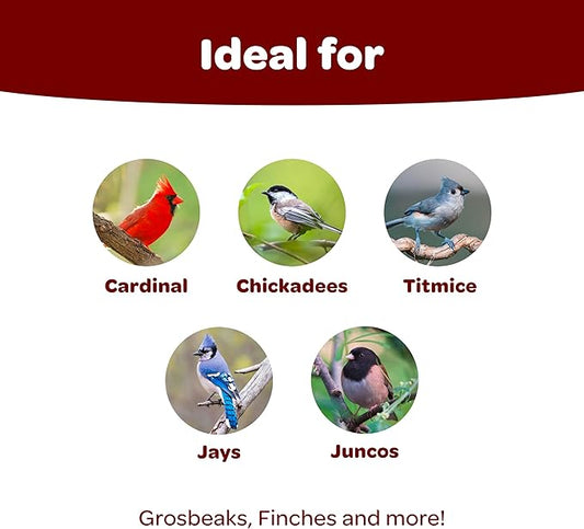 Kaytee Songbird Wild Bird Seed Food, Blended for Grosbeaks, Chickadees, Titmice, Cardinals, Nuthatches & More, 7 Pounds