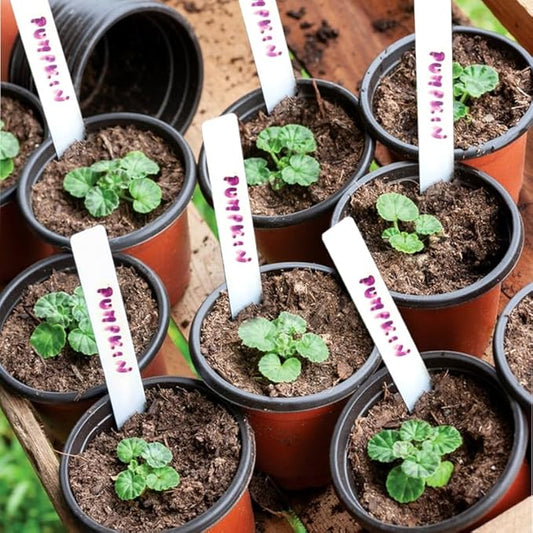 Plant Nursery Pot/Pots 200 Pcs 4" Plastic Small Plants Pots Flower Pots Seed Starting Pots for Plants Indoor Outdoor Seeding pots (with 200 Plant Labels)