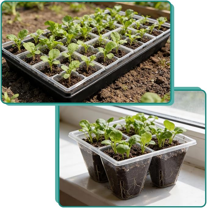 40 Pack Reusable 4-Cell Seed Starter Trays with Large Drainage Holes - Clear Transparent Trays for Root Growth Monitoring, Avoids Overwatering, Easy Transplant, Fits Standard 1020 Trays