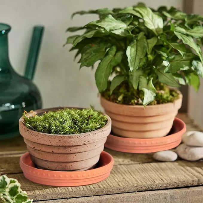 YBX 8-inch Plant Saucer Premium Terracotta Saucer Round Ceramic Plant Trays, Pack of 2 (Nature/Terracotta)