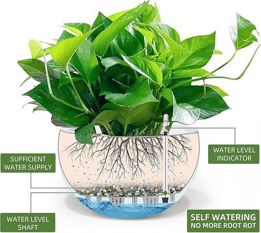Dexceder 9 Inch Self Watering Hanging Planters Indoor Outdoor, Thickened Hanging Basket Flower Plant Pot with Water Level Indicator (White)