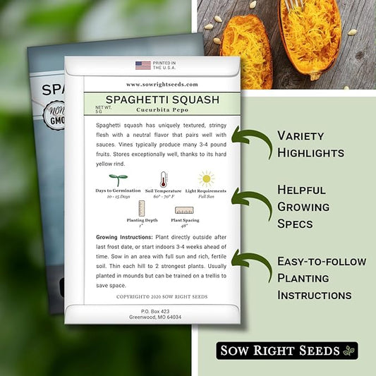 Sow Right Seeds - Spaghetti Squash Seeds for Planting - Non-GMO Heirloom Packet with Instructions to Plant and Grow an Outdoor Home Vegetable Garden - Roast and Enjoy Eating This Favorite Variety (3)