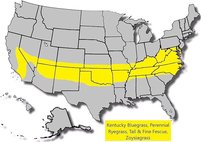 Jacklin Seed - Heisman Mix | 85% Kentucky Bluegrass, 15% Perennial Ryegrass | Certified Grass Seed (50 lbs (20,000 sq ft))