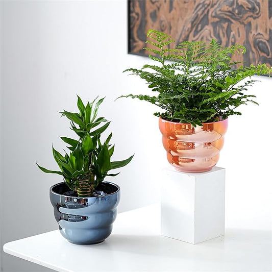 Plant Pots Indoor 6 Inch Ceramic Rainbow Pearl Glaze Planters with Drainage Holes, Set of 2 Flower Pots for Succulents Cactus Orchid, Black and Orange