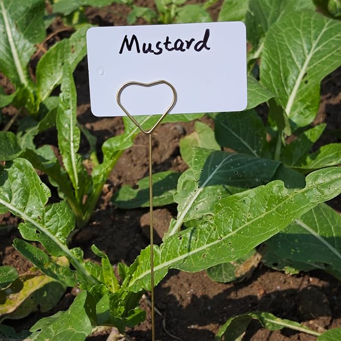 Plant Labels Kit, 20 PCS 12'' Copper Plant Tags Stakes with 40 PCS 1.97'' x 3.54'' Reusable Garden Labels Outdoor Waterproof Plus Marker Pen