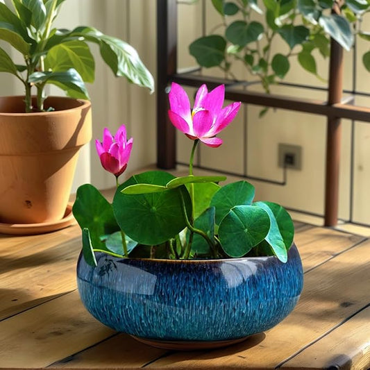 Lotus Bowl Planter, Lotus Bowls for Planting in Water Indoors, Bonsai Bowl Lotus Flower Seeds, Ceramic Planters for Indoor Plants (Dark Blue)