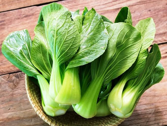 Seeds Chinese Cabbage Bok Choy - Heirloom Vegetable - GMO Free