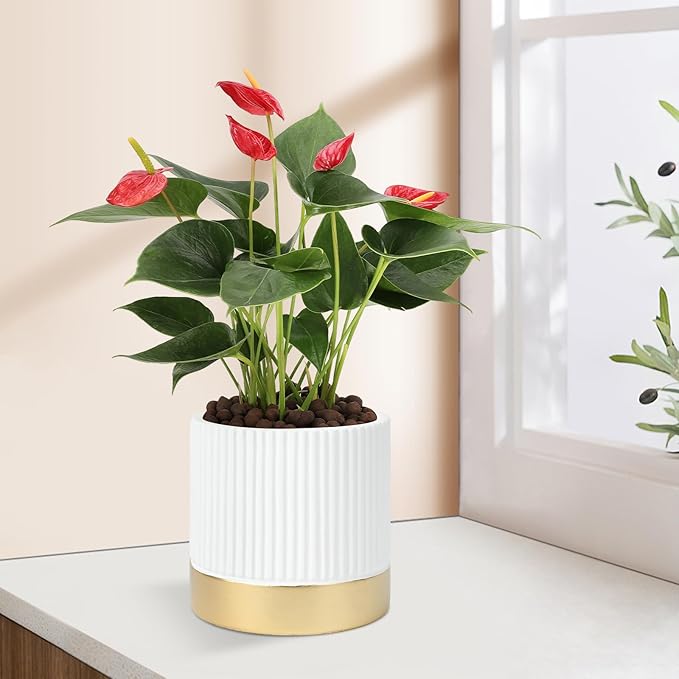 Set of 3 Cement Planter Pots with Drainage Hole,4 inch Plant Pots for Plants Indoor Houseplants,Succulent Pots Windowsil Planter (White&Gold)