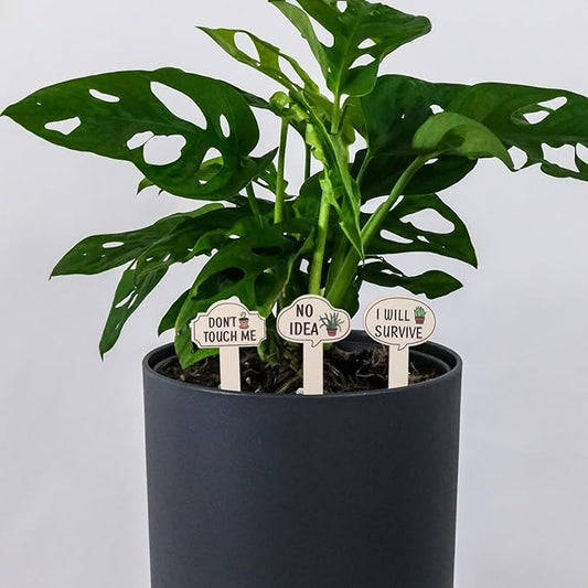 HANABASS 30pcs Funny Wooden Plant Markers Garden Labels for Plants Stylish Vegetable Tags Reusable Identification Stakes for Decor