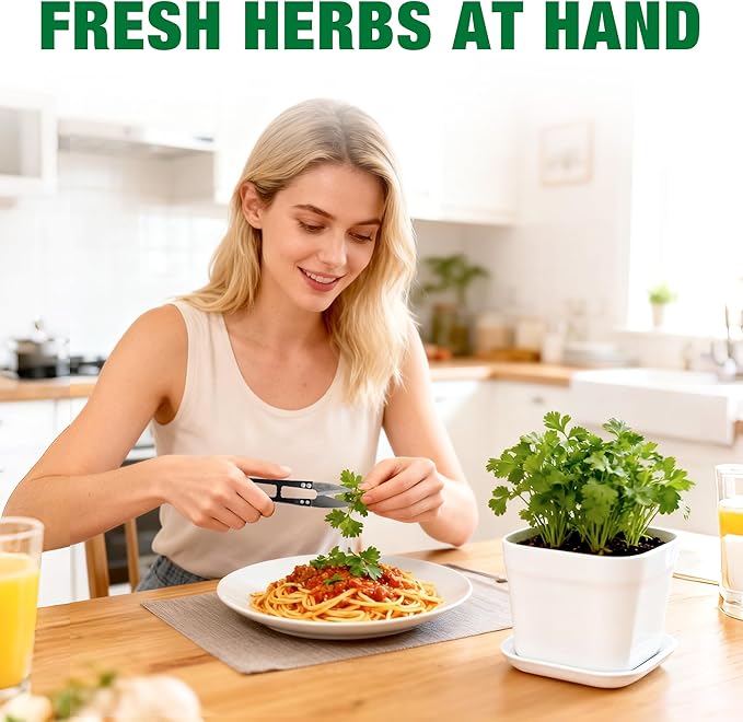 12 Herb Garden Kit Indoor - 42 Pcs Complete Kitchen Window Herbs Seeds Growing Starter Set Kit Gardening Gift Birthday Housewarming Christmas Gift for Women Her Mom Men Home Chefs Gardener Beginner