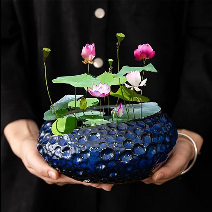 Lotus Bowl Planter, Decorative Ceramic Plant Pots with Moisture-Multifunctional Design, Succulents Orchids Indoor Plants, Thickened Round Planter for Home Desk & Shelf Decor (Blue Planet)