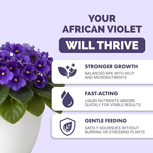 African Violet Fertilizer – Liquid African Violet Plant Food for Indoor Plants, 1 Gallon