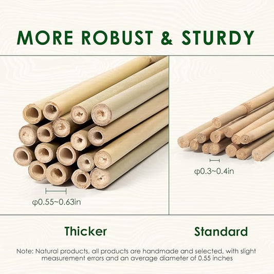 Bamboo Stakes 4 Feet Thicker Garden Stakes with Garden Twine, Diameter of 0.55in Natural Plant Stakes Bamboo Poles for Climbing Plants Support Tomato Cage - 20 Pack Bamboo Sticks for Plants