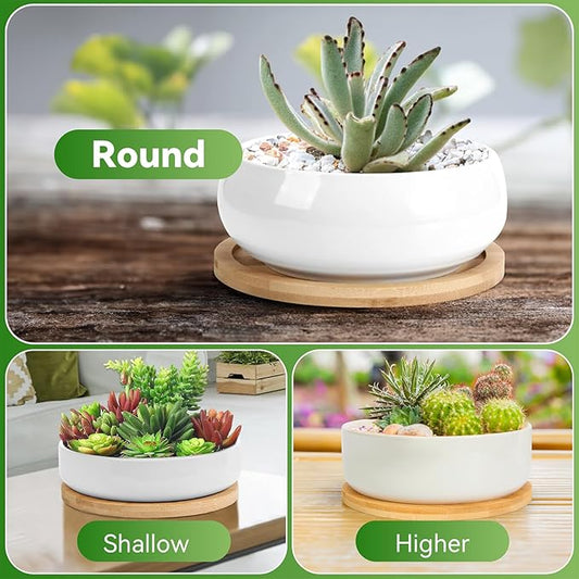 ZOUTOG 2 Pack Succulent Pots, 6 inch Ceramic Planters for Indoor Plants with Bamboo Tray, Pots with Drainage, Seeds& Plants Not Included