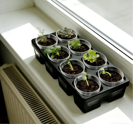 8 Cell Nursery Pot Trays 10 Pack (12"x6"x2") with 2.5 inch (6.5CM) Round Seedling Pots 80pcs (Clear), Plastic Seed Starter Tray with Removable Drain Holes for Carrying and Holding Plant Pot