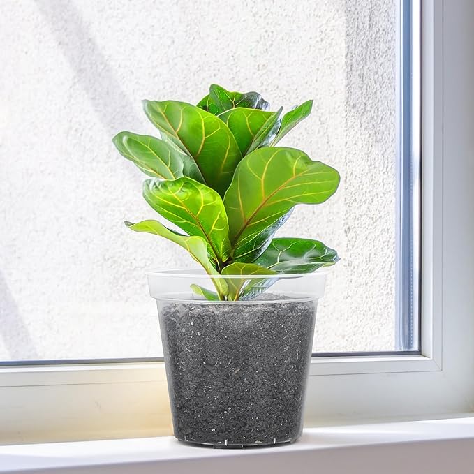 GREANER Clear Plastic Plant Pots, Orchid Pots with Holes and 20 Pcs Plant Labels, 5/6/7/8/9/10 Inch(Pack of 15)