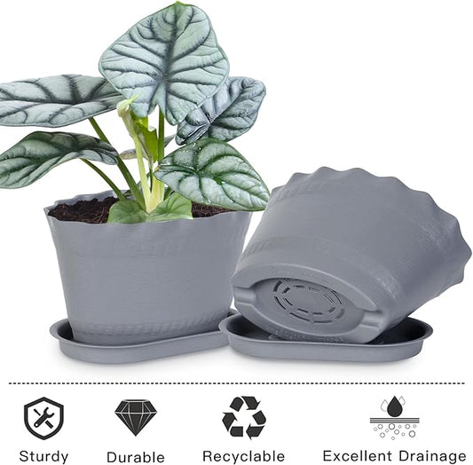 Herb Planter Pots 6 Pcs, Window Box Planter Flower Plants Pots for Succulent Cactus Flower with Trays, for Home Garden Kitchen Decor (Grey)