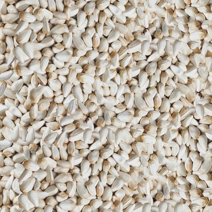 Happy Wings Safflower Seeds Wild Bird Food - 5 Pounds I Combo Pack of 2 No Grow Seed I Bird Seed for Wild Birds