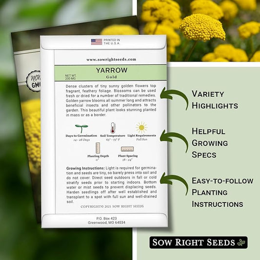Sow Right Seeds - Achillea Yarrow Gold Flower Seeds for Planting - Flowers to Plant in Your Garden - Non-GMO Heirloom Packet with Instructions - Favorite Perennial to Attract Pollinators (3)