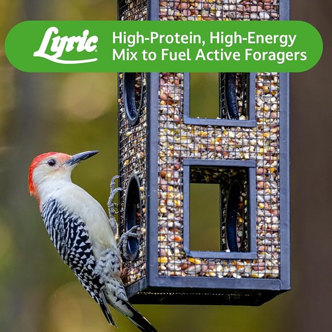 Lyric Woodpecker Wild Bird Seed for Outside Feeders, Shelled, No Waste Bird Seed with Nuts & Dried Fruit, 20 lb Bag