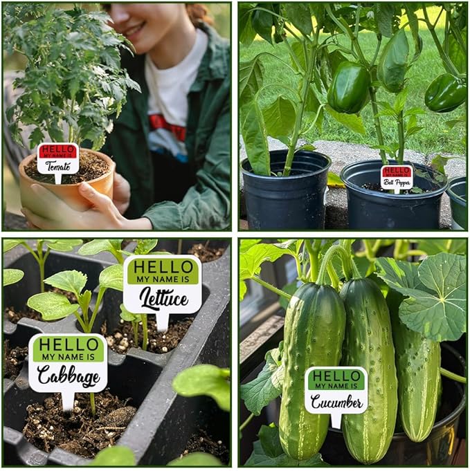 arricraft 15 Pcs Colorful T-Shaped Acrylic Plant Labels, Name Presentation Vegetable Theme Waterproof Garden Stake Labels for Indoor Outdoor Potted Plants Nursery Marker Decoration 4.01x2.68 inches