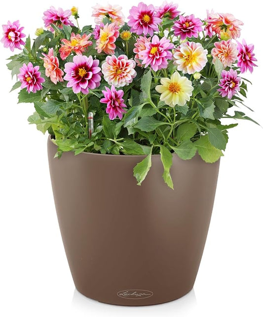 Lechuza Classico Color 35 Nutmeg, Self-Watering Round Planter, D13.8 H11.8 in